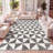 Kuehl Geometric Shag Beige/Dark Gray Rug-1328862856