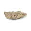 Cast Naturals Abstract Coffee Table-49891860