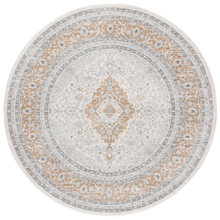 Delmer Performance Oriental Rug