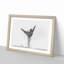 Ballet in the Morning in Abstract - Picture Frame Graphic Art Print-55683432-55683435