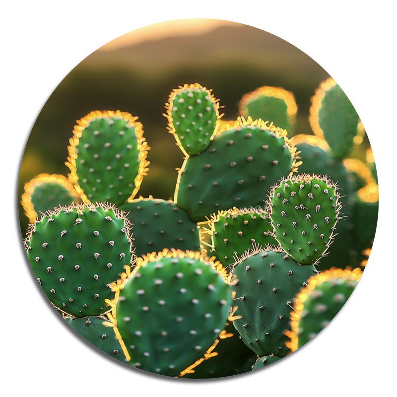 Marié - reproduction d'art traditionnelle verte en métal, décoration murale ronde en métal Cactus, H 16 po x l 16 po