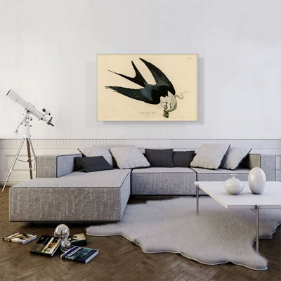 «Swallow-Tailed Hawk» par James Audubon, reproduction d'art sur toile tendue