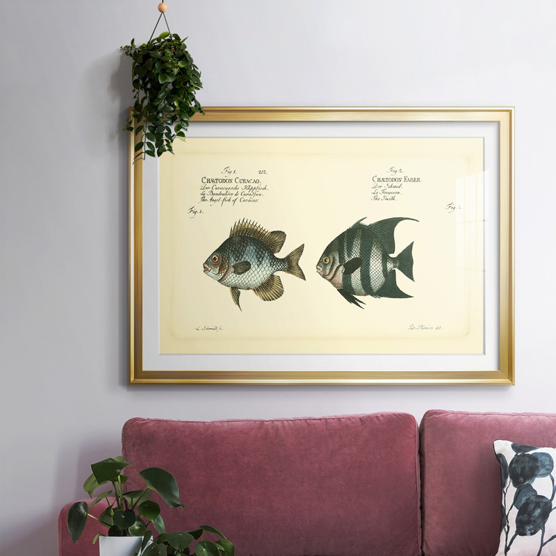 " Bloch Antique Fish II ", Gold, 27" H x 39" W x 1.5" D