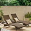 Paire de chaises longues, fabrication en fer, aucun assemblage requis, P 79,25 po x l 27,72 po, H 15,02 po, cadre, assemblage,