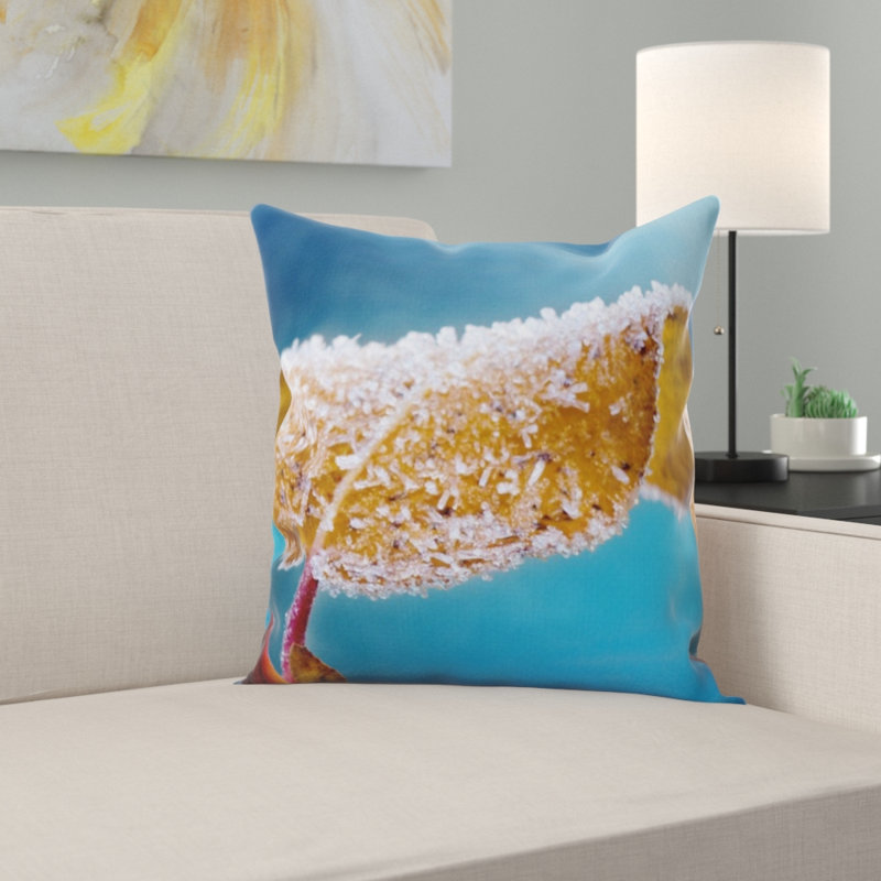 Coussin en jeté dépoli
