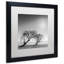 «Reverencia» par Moises Levy - reproduction de photo sur toile encadrée-15822231-40308541