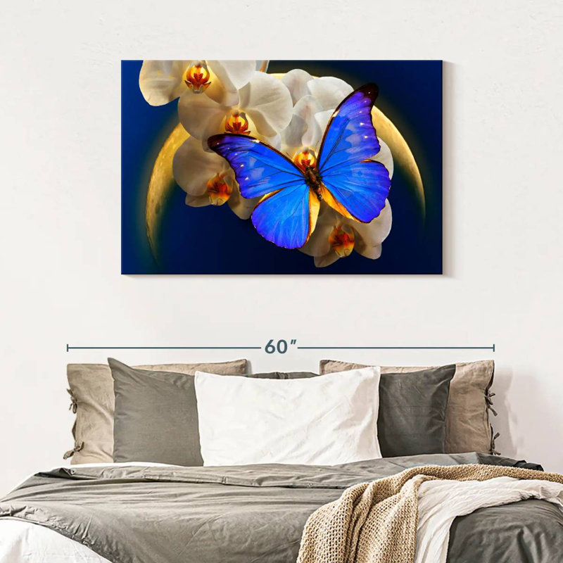 Moonlit Morpho Butterfly, 30" H x 45" W