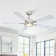 Carmille 52'' Ceiling Fan with LED Lights
