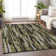 Machine Washable Indoor/Outdoor Chayil ACN1079 Brown Rug