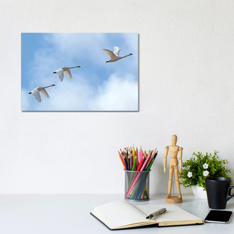 Swan Flight by Brian Wolf - Wrapped Canvas Gallery-Wrapped Canvas Giclée, 20.32cm H x 30.48cm W