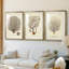 Esper Sea Fans I - reproduction sur mesure encadrée de qualité supérieure - 3 pièces-1607683335-1607683333