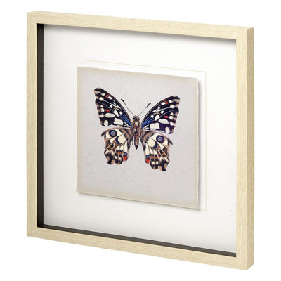 «Butterfly Study II» par Melissa Wang a, reproduction d'art encadrée à la main mat sous verre