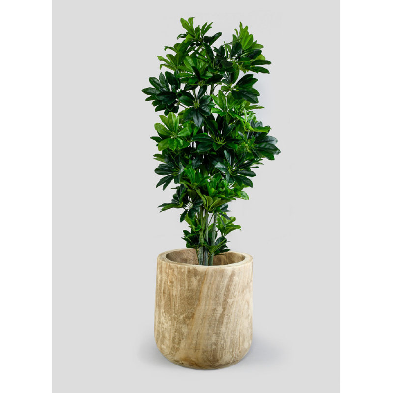 Pot à fleurs en bois Homerville