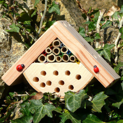 Minoa Mounted Ladybird House