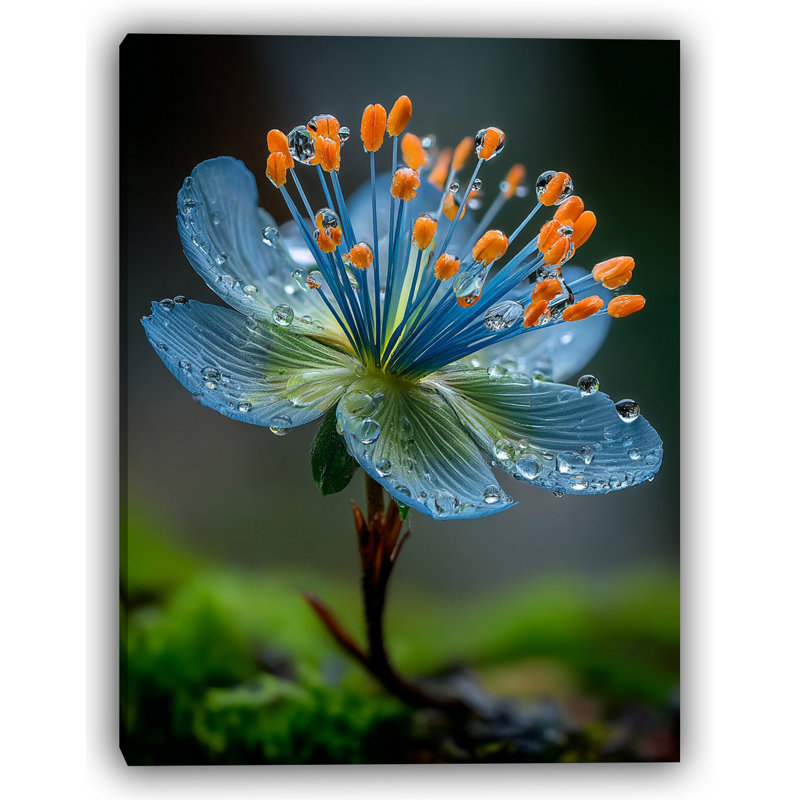 Twilight Nectar Wrapped Canvas Wall Art