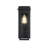 Lohmann Outdoor Wall Sconce in Black-809292449