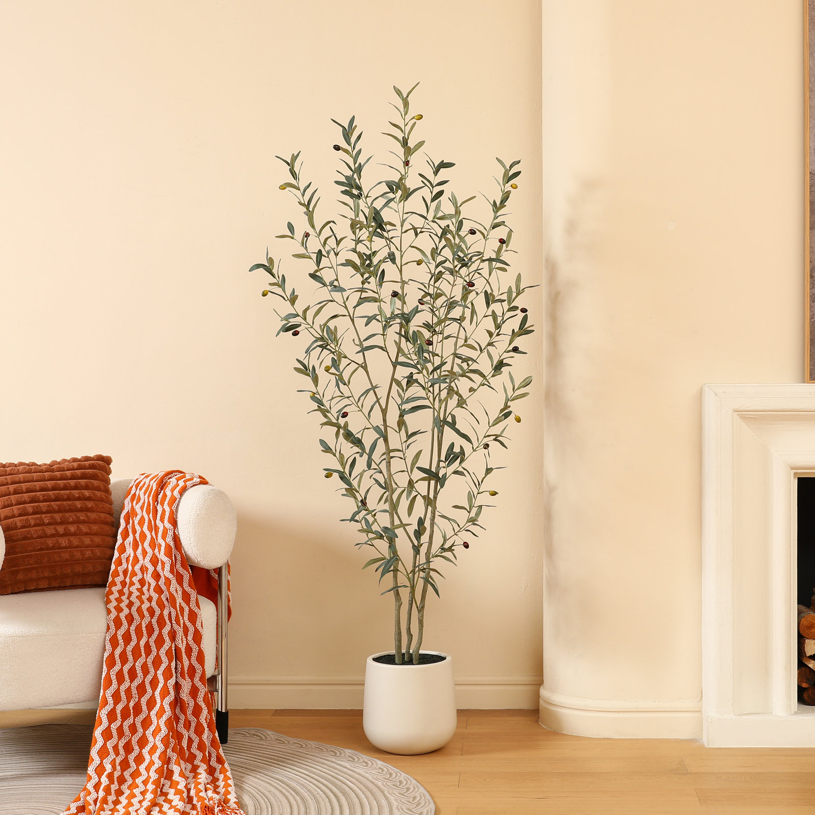 George Olive Tree in Pot, 72" H x 24" W x 24" D
