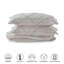 Rosalind Wheeler Fairdale Bedspread with Pillow Shams-2063779141-2063779192