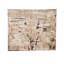 Abstract Area Rug in Camel
