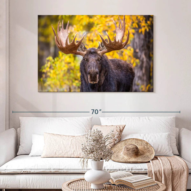 Brampt Bull Moose In Autumn, 32" H x 48" W