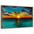 Floating Frame Gold selected