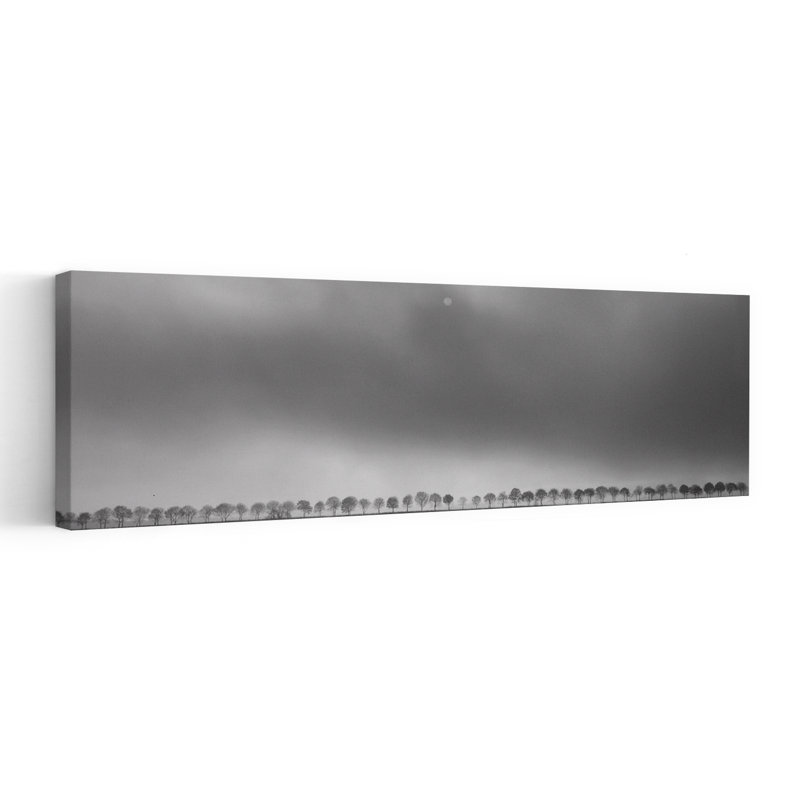 Misty Tree Line, minimaliste paisible, paysage serein, art mural, H 12 po x l 36 po