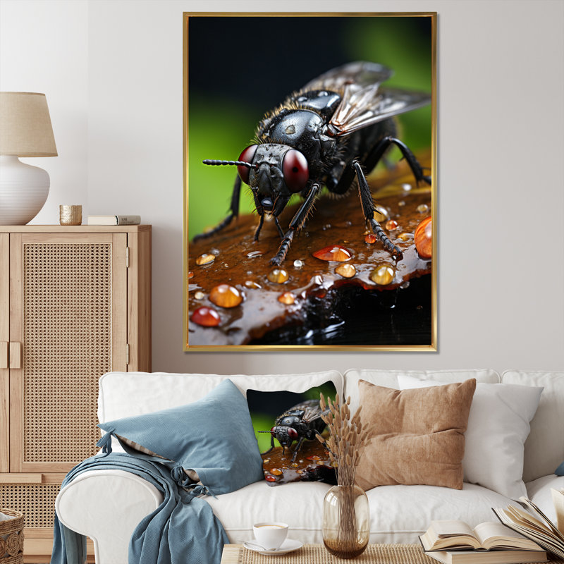 Insectes insectes, portrait I - animaux, décoration murale, H 32 po x l 24 po x P 1 po, Cadre flottant doré