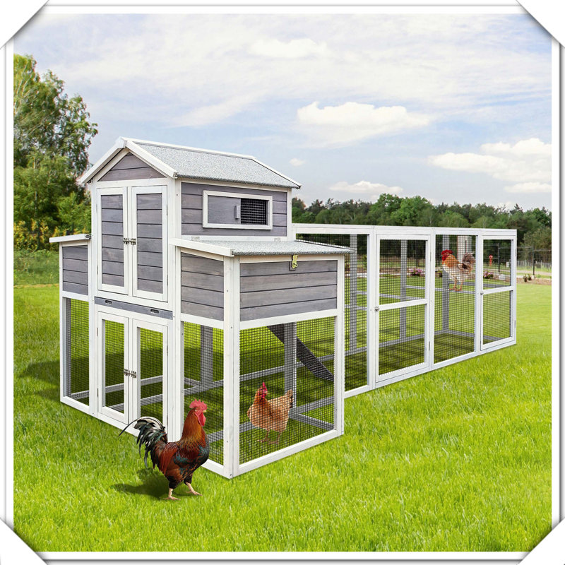 Poulailler en bois, Gris / Blanc