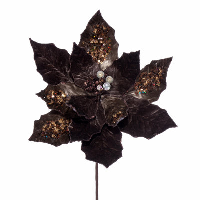 Tige de poinsettia