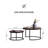 Emmaline Frame 2 Nesting Coffee Tables-1651851209-1651833114