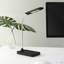 Lampe de bureau 14,25 po Maranta-422425814