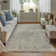 Alberdine Transitional Medallion Handmade Sand Rug