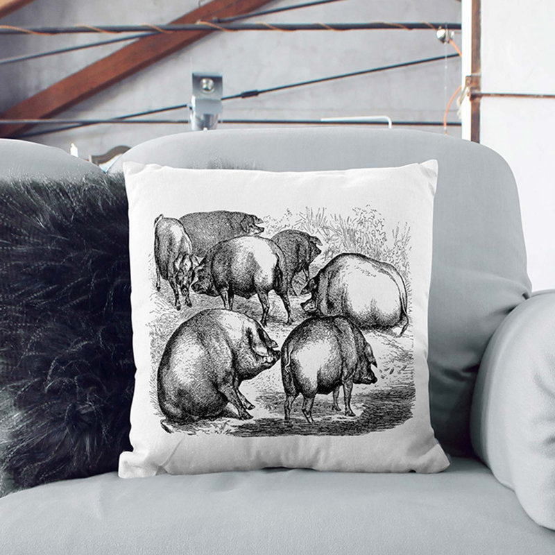 Pigs Illustration Cushion with Filling, 55cm H x 55cm W x 20cm D