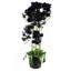 Real Touch Artificial Orchids Plastic, Silk Artificial Arrangement in Planter-107236912-107236909