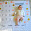 Couverture pour photo Milestone Little