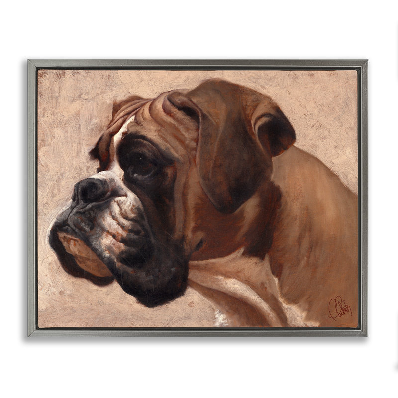 «Boxer Dog Neutral Portrait» par Thomas Fluharty, Cadre flottant gris lustré, H 25 po x l 31 po