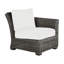 Rustic Patio Lounge Chair with Cushions-1110718212-1110718209-1110726824