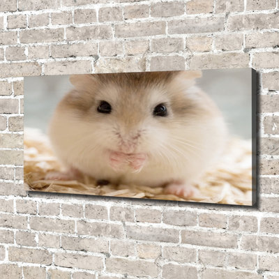 Hamster - Wrapped Canvas Print