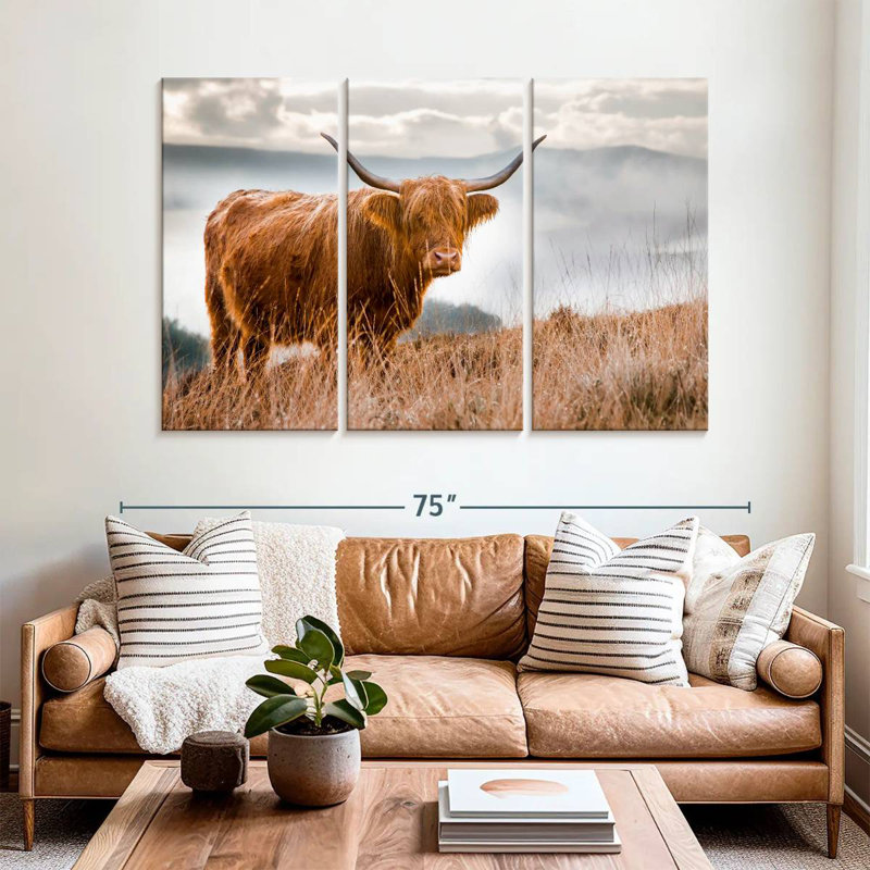 Vache Highland en Écosse, H 42 po x l 65 po