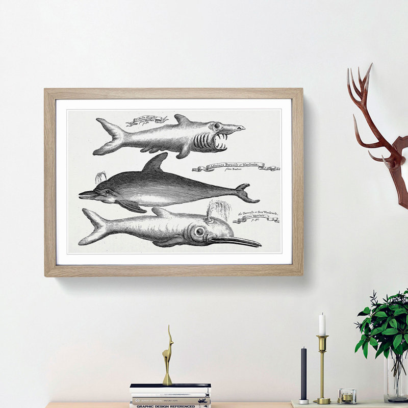Shark and Dolphins by Thomas Astley - Picture Frame Drawing Print, Oak Framed, 27cm H x 36cm W x 2cm D