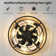 Peddie 20" Coastal Caged Ceiling Fan with Lights Flush Mounted