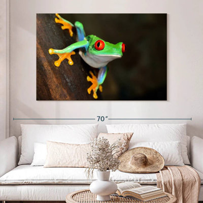 Brampt Tiny Red-Eyed Tree Frog