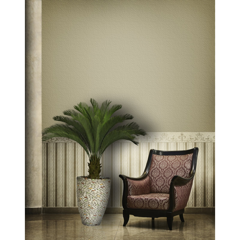 Palmier Cycas Panama