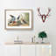 Shoveller Duck by John Audubon - Picture Frame Painting Print-55619045-55619049