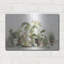 «Greenhouse Orchids On Shiplap» par Danhui Nai-1975620663