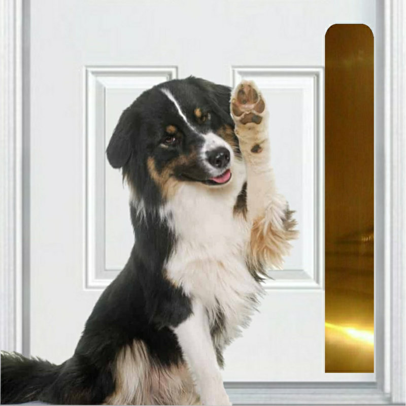 Accessoire de porte pour animal de compagnie Acrion, Nickel satiné, H 22 po x l 6 po x P 0,05 po