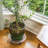 Weather Resistant Caddy Plant Stand