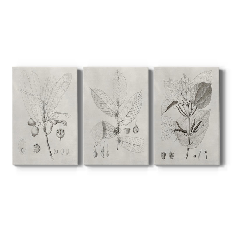 «Vintage Leaves I» - Toile tendue avec châssis sur mesure - 3 pièces, H 12 po x l 24 po