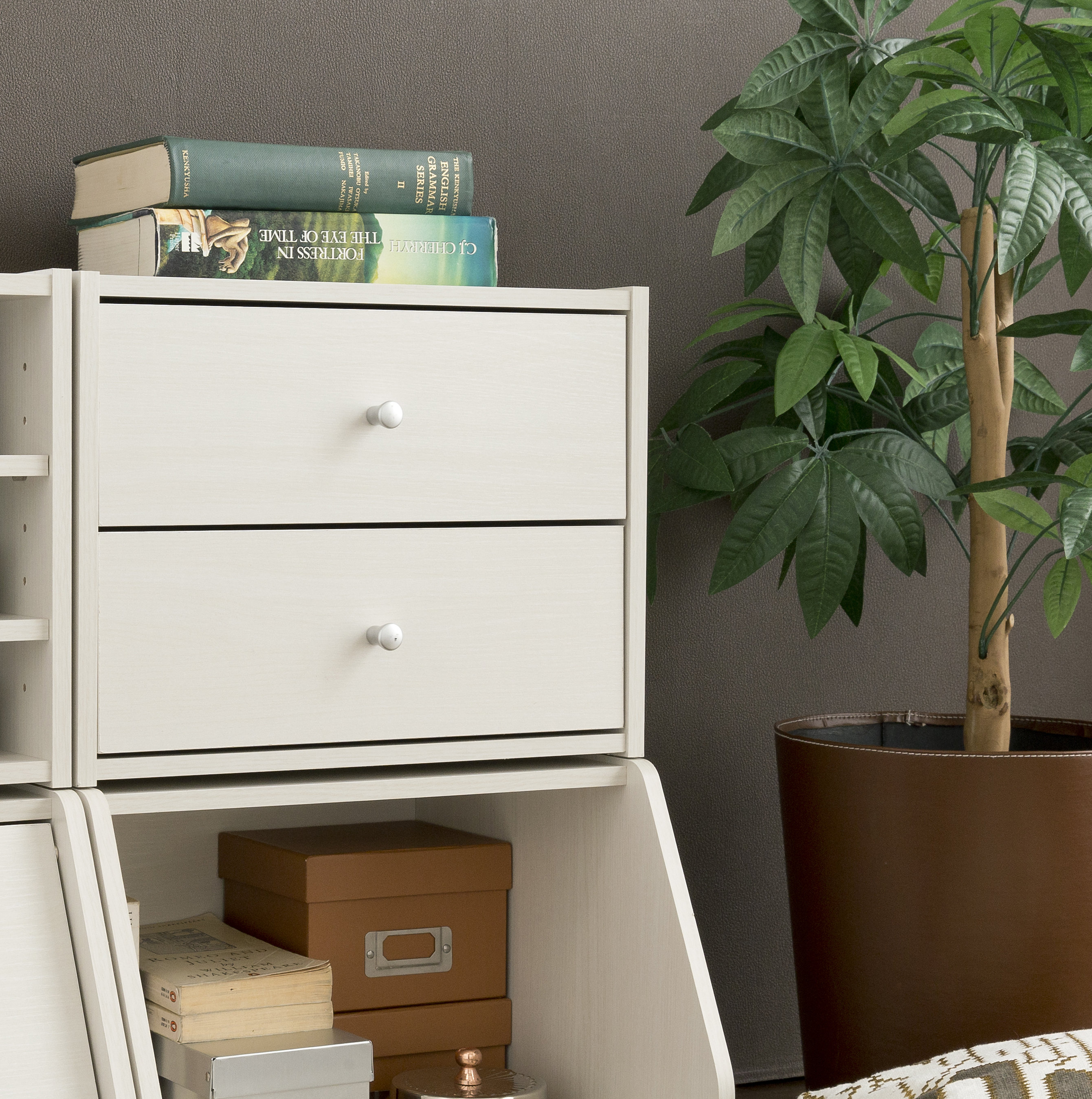 IRIS USA, Inc. Stackable 2 Drawer Storage Chest & Reviews | Wayfair