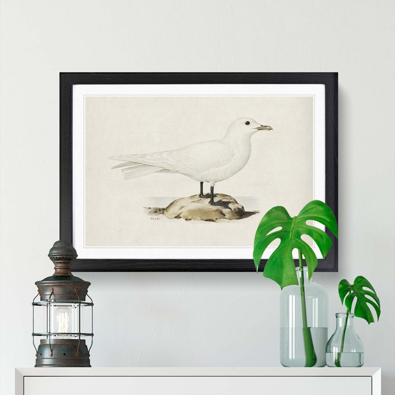 Ivory Gull by Von Wright - Picture Frame Painting Print, 27cm H x 36cm W x 2cm D, Black Framed